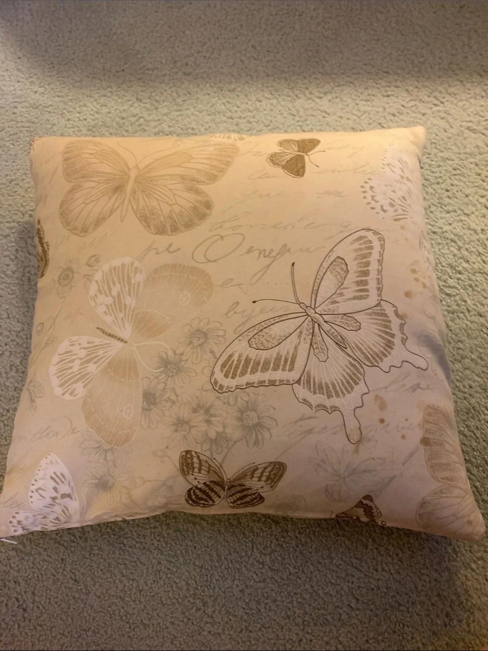 Butterfly Print Decorative Pillow - Cream